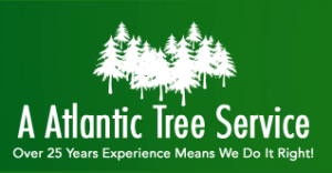 atlantic logo